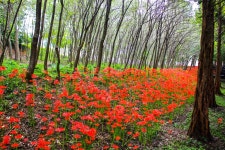 별별여행 > 광주호호수생태원 | 별별시장&별별여행 ┃ 여행문화의 새로운 트렌드를 만들다 별별여행 > 광주호호수생태원