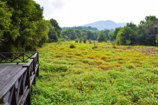 별별여행 > 광주호호수생태원 | 별별시장&별별여행 ┃ 여행문화의 새로운 트렌드를 만들다 별별여행 > 광주호호수생태원