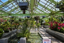 별별여행 > 강원도립화목원 | 별별시장&별별여행 ┃ 여행문화의 새로운 트렌드를 만들다 별별여행 > 강원도립화목원