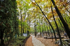 별별여행 > 구름산산림욕장 | 별별시장&별별여행 ┃ 여행문화의 새로운 트렌드를 만들다 별별여행 > 구름산산림욕장