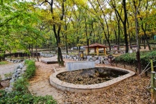 별별여행 > 구름산산림욕장 | 별별시장&별별여행 ┃ 여행문화의 새로운 트렌드를 만들다 별별여행 > 구름산산림욕장