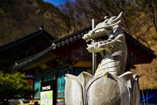 별별여행 > 반야사 | 별별시장&별별여행 ┃ 여행문화의 새로운 트렌드를 만들다 별별여행 > 반야사