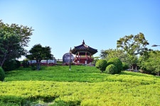 별별여행 > 우암동도시숲 | 별별시장&별별여행 ┃ 여행문화의 새로운 트렌드를 만들다 별별여행 > 우암동도시숲