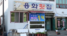전국별별시장 스토어 > 용화횟집 | 별별시장&별별여행 ┃ 여행문화의 새로운 트렌드를 만들다 전국별별시장 스토어 > 용화횟집