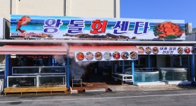 전국별별시장 스토어 > 왕돌회센타 | 별별시장&별별여행 ┃ 여행문화의 새로운 트렌드를 만들다 전국별별시장 스토어 > 왕돌회센타