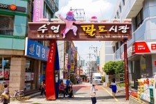 전국별별시장 > 수영팔도시장 | 별별시장&별별여행 ┃ 여행문화의 새로운 트렌드를 만들다 전국별별시장 > 수영팔도시장