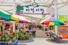 전국별별시장 > 마전시장 | 별별시장&별별여행 ┃ 여행문화의 새로운 트렌드를 만들다 전국별별시장 > 마전시장