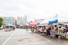 전국별별시장 > 통진시장(마송5일장) | 별별시장&별별여행 ┃ 여행문화의 새로운 트렌드를 만들다 전국별별시장 > 통진시장(마송5일장)