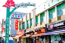 전국별별시장 > 장미원골목시장 | 별별시장&별별여행 ┃ 여행문화의 새로운 트렌드를 만들다 전국별별시장 > 장미원골목시장