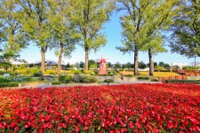 별별여행 > 보강천미루나무숲 | 별별시장&별별여행 ┃ 여행문화의 새로운 트렌드를 만들다 별별여행 > 보강천미루나무숲