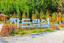 별별여행 > 자드락숲 | 별별시장&별별여행 ┃ 여행문화의 새로운 트렌드를 만들다 별별여행 > 자드락숲