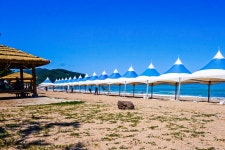 별별여행 > 장사해수욕장 | 별별시장&별별여행 ┃ 여행문화의 새로운 트렌드를 만들다 별별여행 > 장사해수욕장