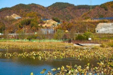 별별여행 > 용담호자연생태습지공원 | 별별시장&별별여행 ┃ 여행문화의 새로운 트렌드를 만들다 별별여행 > 용담호자연생태습지공원