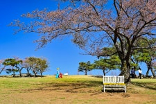 별별여행 > 화랑의언덕 | 별별시장&별별여행 ┃ 여행문화의 새로운 트렌드를 만들다 별별여행 > 화랑의언덕