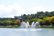 별별여행 > 울산대공원 | 별별시장&별별여행 ┃ 여행문화의 새로운 트렌드를 만들다 별별여행 > 울산대공원