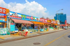 별별여행 > 곰소항 | 별별시장&별별여행 ┃ 여행문화의 새로운 트렌드를 만들다 별별여행 > 곰소항