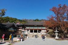 별별여행 > 동화사 | 별별시장&별별여행 ┃ 여행문화의 새로운 트렌드를 만들다 별별여행 > 동화사