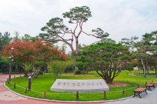 별별여행 > 국채보상운동기념공원 | 별별시장&별별여행 ┃ 여행문화의 새로운 트렌드를 만들다 별별여행 > 국채보상운동기념공원