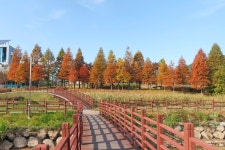 별별여행 > 둔산공원 | 별별시장&별별여행 ┃ 여행문화의 새로운 트렌드를 만들다 별별여행 > 둔산공원