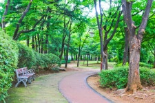 별별여행 > 중앙공원 | 별별시장&별별여행 ┃ 여행문화의 새로운 트렌드를 만들다 별별여행 > 중앙공원