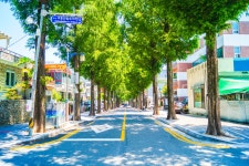 별별여행 > 창원가로수길 | 별별시장&별별여행 ┃ 여행문화의 새로운 트렌드를 만들다 별별여행 > 창원가로수길