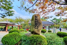 별별여행 > 해운대달맞이길 | 별별시장&별별여행 ┃ 여행문화의 새로운 트렌드를 만들다 별별여행 > 해운대달맞이길