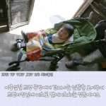 1년 365일 베페, BeFe 베페