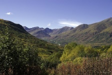 Some recent AK photos (neighborhood, live, roach) - Alaska - Page 674 - City-Data Forum