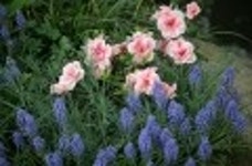 산행기 - 근교산책 --- 다산유적지 두물머리 석장원과 세미원