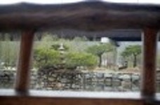 산행기 - 근교산책 --- 다산유적지 두물머리 석장원과 세미원