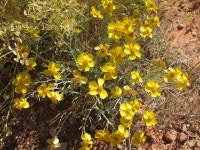 남 도와주다 욕먹는 당신은