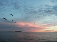 보고 담고 나누는 미국 라이프, J블로그 Koreadaily JBlog in US