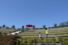 50년 늦어진 고교 졸업여행: 제2일 통영, 미륵산, 장사도, 한산도