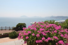 50년 늦어진 고교 졸업여행: 제2일 통영, 미륵산, 장사도, 한산도