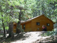 길  떠나는 꿈으로 삽니다.