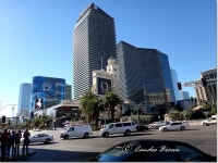 라스 베가스에서 쫄쫄쫄 굶었다  /  2