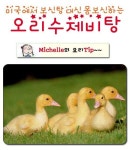 미국에서 보신탕 대신 몸보신하는 오리 수제비탕