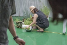 보고 담고 나누는 미국 라이프, J블로그 Koreadaily JBlog in US