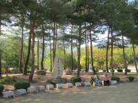 용문사