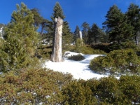 L A 근교 4 계절 물 흐르는 등산로 안내합니다