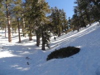 L A 근교 4 계절 물 흐르는 등산로 안내합니다