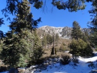 L A 근교 4 계절 물 흐르는 등산로 안내합니다