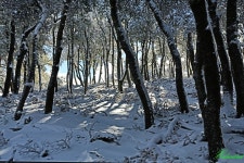 하얀 눈처럼 아름다운 일들만.... San Gabriel Mt.(1878m)