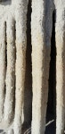 골공(骨空)의 삶(Columns)