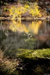아이딜 와일드[ Idyllwild 에서]