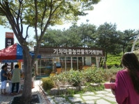 [1287] 양대자격증 진리의 법창야화/ Claire Tchaikowsky Angel -- cg fairies and mystical beings--