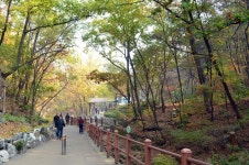 수락산 ( 637m )