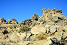 Sheep Mountain ( 5141’ )