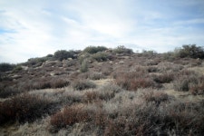 Rouse Hill ( 5168’ )