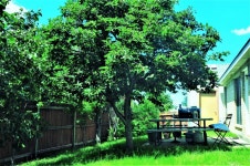 보고 담고 나누는 미국 라이프, J블로그 Koreadaily JBlog in US